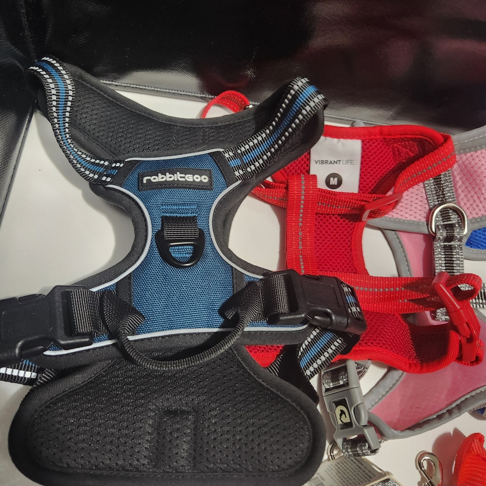 Assorted Pet Harness and Leash Set Bundle - Picture 5 of 7